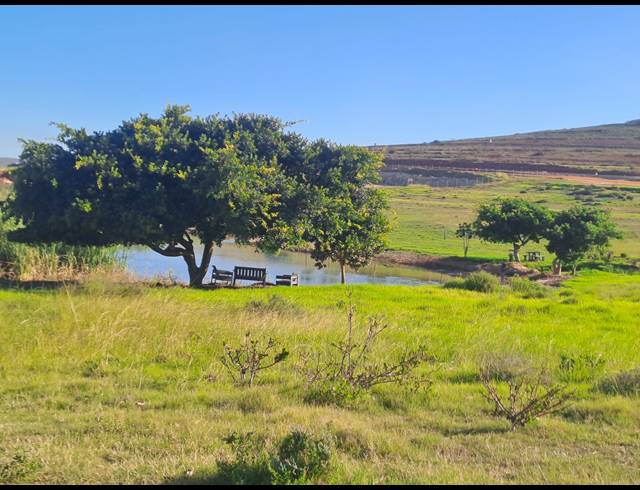 3 BEDROOM HOUSE FOR SALE IN OUTENIQUASBOSCH